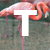 T van flamingo